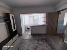 Garsoniera,,La Gigea"