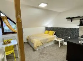 Apartmán Zlatý důl