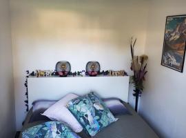 APPT Cosy entier avec piscine, Hotel in Toulouse