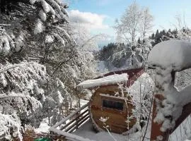 Col de la Faucille Tonneau