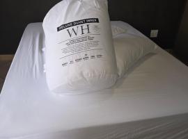 The Good Samaritan 2, hotel v destinaci Witbank