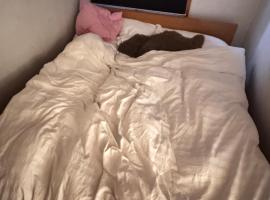 Guesthouse Centrum, pension in Oslo