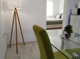 Studio Andrijana Sokobanja