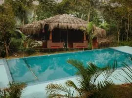 Misty Night Wayanad Pool Resort