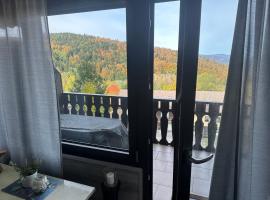 L&L Ferienwohnung, hotel in Schöfweg