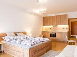 Apartmán IRIS Poděbrady 2