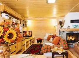 Domki Janosik - Góralski domek z kominkiem, przyjazny zwierzętom, ogrodzony, Łopuszna w Gorcach