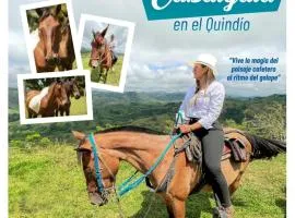 Aparthotel 2km Parque del Café BOOKUTRIP - 311-227-59-73