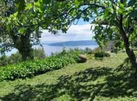 Dreamview studio apartment