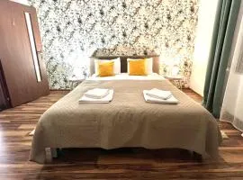 S-HOUSE Apartament spatios cu 2 dormitoare, curte, bucatarie, terasă și parcare privată aproape de Sibiu