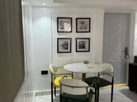 Asokoro Luxury Apartments