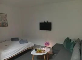 Apartman Mali kutak