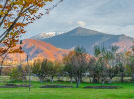 Casa-Dorina, hotel in Petrila