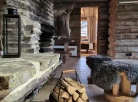 Olokolo2 - Atmospheric log villa, Kuusamo