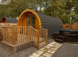 livi pod Woodland lake