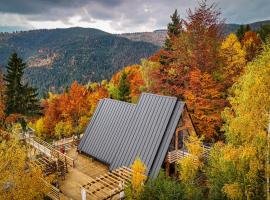 Black Roof, hotel in Horea