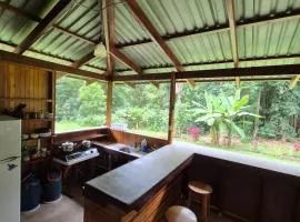 Beachfront jungle cabin