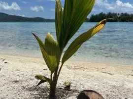 Motu ATAHIRI Camping