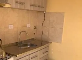 El descanso de los colibris