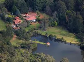 Forest Lodge Resort