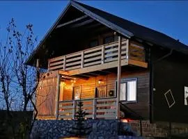 The Wooden Nest -Covasna