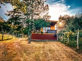 Nature&Chill Treehouses