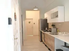 Baross Budapest Apartment