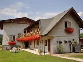 Penzión Šindléry 533