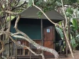 Amangwane Tented Camp
