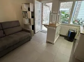 Studette des blancs moutons