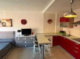 El Mocan Apartment Palm Mar