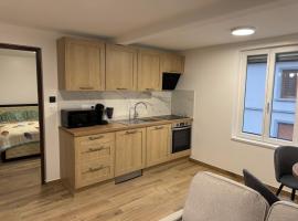 La Tranquillité Citadine, hotel v destinácii Schiltigheim