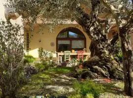 "A casa di Jolanda" a green escape near Venice