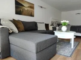 Chalet am Diemelsee - Ferienwohnung mit Terrasse im Sauerland