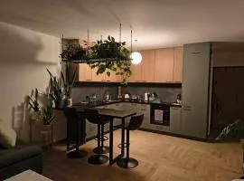 Apartament Rutkiewicz