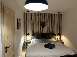 Harrachovský Chalet u sjezdovky