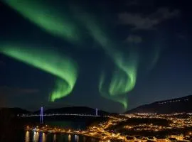 Ankenes Romutleie AS