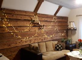 Mulgi Apartment, alojamento na praia em Viljandi