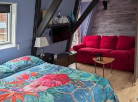 Het Zwanenest, hotel v destinaci Harlingen