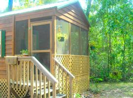 Cozy Cabin Rental on the Santa Fe River near High Springs, Florida, hotel din Fort White
