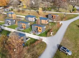 Side-by-Side Tiny Houses