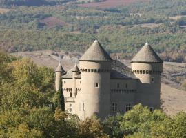 Chateau de Lugagnac, B&B din Rivière-sur-Tarn