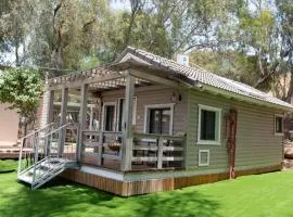 Pnina Yafa BaGalil Zimmer