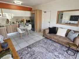 Luxury Apartment in Somerset West