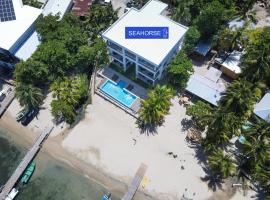 Seahorse Escape-apartment #2 condo, hotel en Roatán