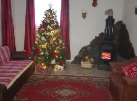 David House, hotel em Bicaz