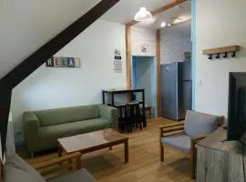 Guingamp centre : grand appartement lumineux