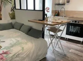 CLIMATISÉ appartement design hypercentre Gare & espresso offert