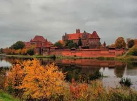 Apartament w Centrum Malborka