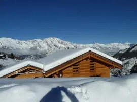 Beautiful luxury Chalet Veyon